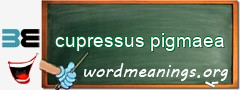 WordMeaning blackboard for cupressus pigmaea